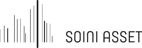 SOINI ASSET